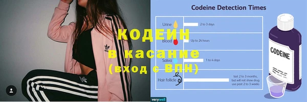индика Алзамай
