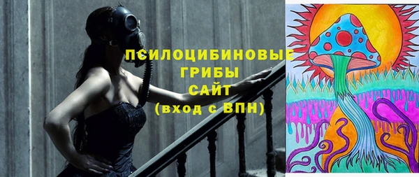 индика Алзамай