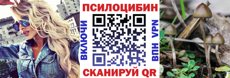 Галлюциногенные грибы GOLDEN TEACHER нарко площадка как зайти Абинск
